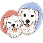 Kasie & Cooper - @kasiecoopergoldens - Instagram