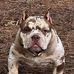 Kasie Hicks - Facebook