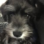 Kasie Williams - @greatandhappylife - Instagram