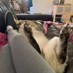 Cassandra Archer - @archer_cassandra - Instagram