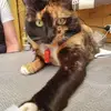 Cassandra Archer - @cassandra.archer - TikTok