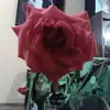Kassandra Jaramillo - @kkassandrajv - TikTok