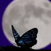 kassandraluna33 - @kassandraluna33 - TikTok