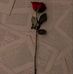 Kassandra Ross - Facebook