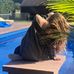 Kassandra Stone - Facebook