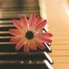 kassandrastoner28 - @kassandrastoner28 - TikTok