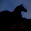 Starlight stables - @kassandra_thompson64 - TikTok