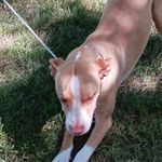 Sandi Kassandra Watson - @kllwatson - Instagram