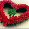 kassemhamade328 - @kassemhamade328 - TikTok
