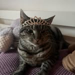K_S - @kassem_sobh - Instagram