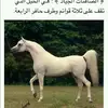 sobhykassem781 - @sobhykassem781 - TikTok