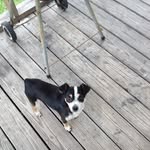 Kassidy Denise Boyd - @kassidy_boyd_123 - Instagram
