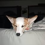 Conner Cassady - Facebook
