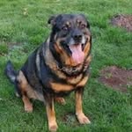 kassidy ramirez - @kassidy_wuvmypuppy - Instagram