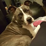 Cassie Arnold - @china_the_pit - Instagram