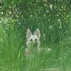 Kassy Smith - @kassy.smith91 - TikTok