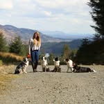 Kat Alexander - @montakibordercollies - Instagram