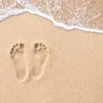 kat atkinson - @your_carbon_footprint - Instagram