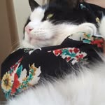 kat atkinson - @katkinson2468 - Instagram