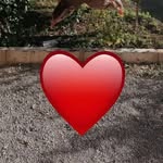@katbachkat - Instagram