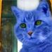 Kat Ballou - Facebook