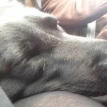 @katballou8015 - Instagram