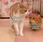 Kat Barrera - Facebook