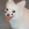 Kat&Bear - @kat.andbear - TikTok