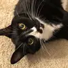 Kat Bell - @katb0118 - TikTok