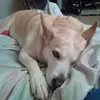 kat benson - @kat.benson1 - TikTok