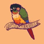 Kat (& Bird) - @drawallthecritters - Instagram