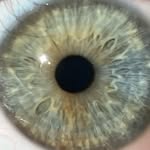 katie - @kat._.bird - Instagram