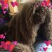 Katie Blair - Facebook