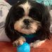 Kat Blanchard - Facebook