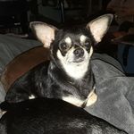 Kat Blanton - @kat.blanton196877 - Instagram