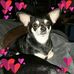 Kat Blanton - Facebook