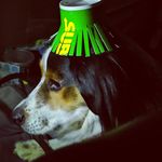 Katherine Blanton - @local_hell_hippie - Instagram