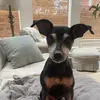 kate - @kate.bowenn - TikTok