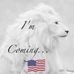Kathy Brink - Facebook