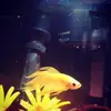 MissKat - @kat.burton - TikTok