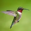 Kat Calaway - @kat.calaway - TikTok