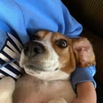 Katie Carmichael - Facebook
