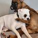 Kathy Colvin - Facebook