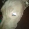 kat Conley - @kar.conley - TikTok