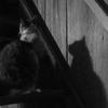 kattcooley - @kattcooley - TikTok