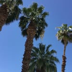 Kat Cooper - @katcooper2008 - Instagram