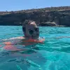 katcooper20 - @katcooper20 - TikTok