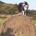 Kate Cree - Facebook