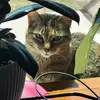 Kat - @katcrow65 - TikTok
