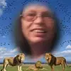 katdailey8 - @katdailey8 - TikTok